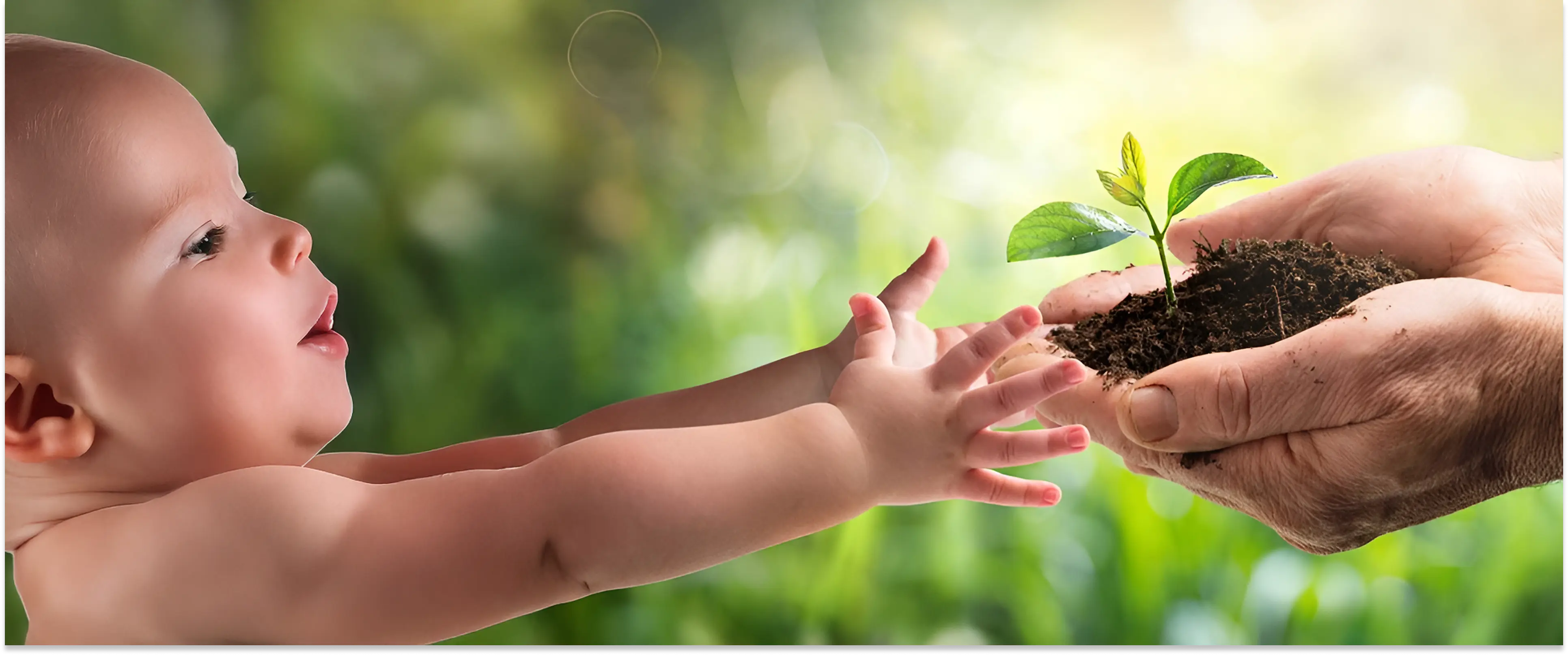 Miragro - Országos terménykereskedelem Magyarország